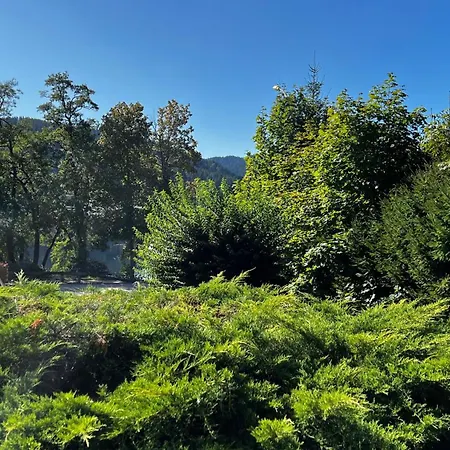 Les Prairies Du Apartmán Gérardmer