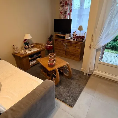 公寓 Les Prairies Du 热拉梅