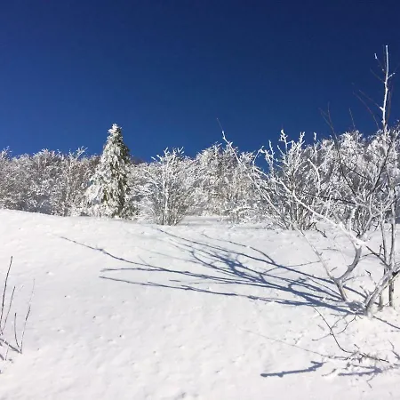 Les Prairies Du ג'רארדמר