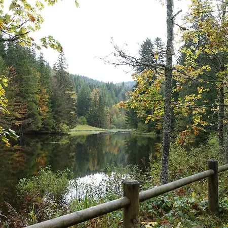 דירה Les Prairies Du ג'רארדמר