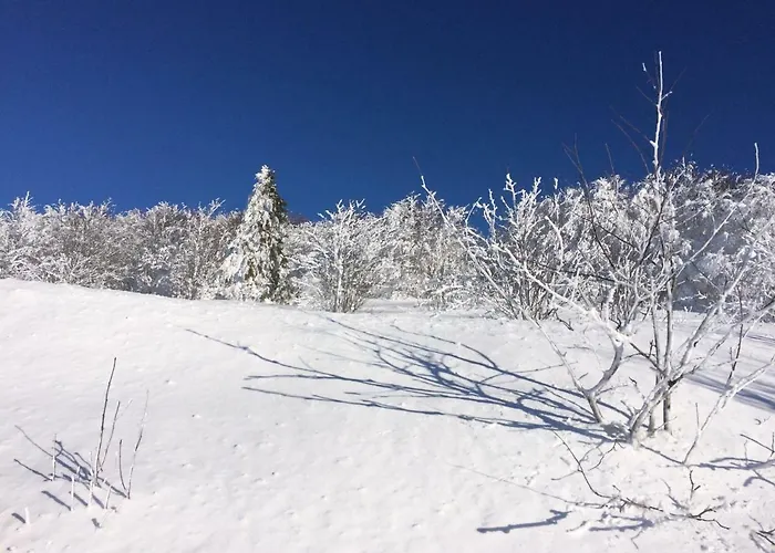 Les Prairies Du Gérardmer