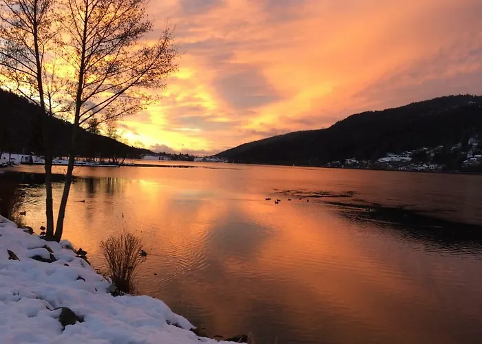 Appartement Les Prairies Du Gérardmer