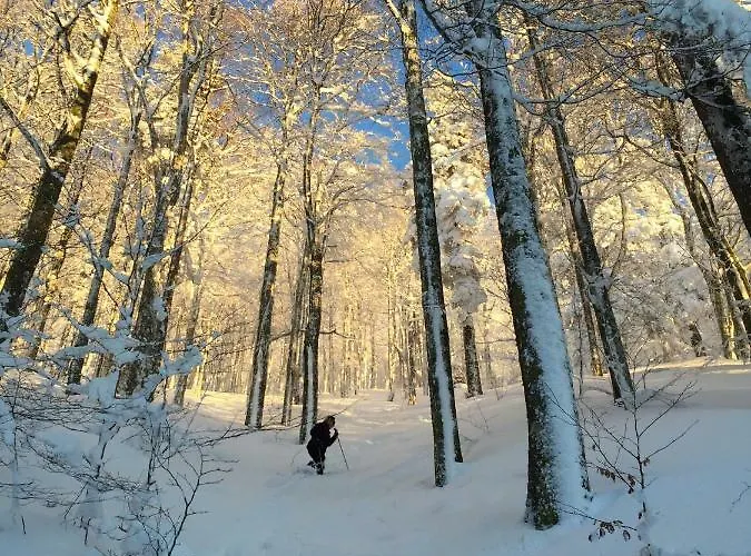 Appartement Les Prairies Du