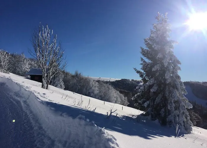 Les Prairies Du Gérardmer