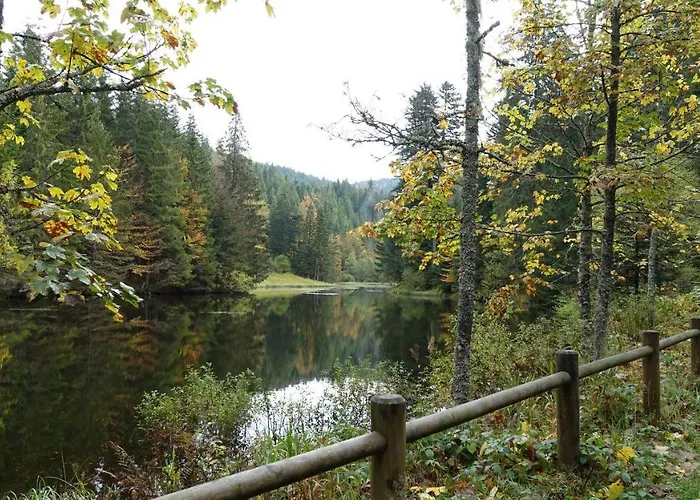 Appartement Les Prairies Du Gérardmer