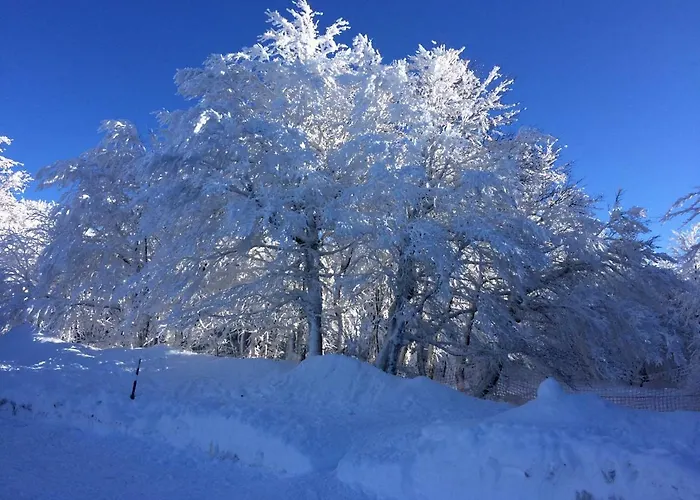 Les Prairies Du * Gérardmer